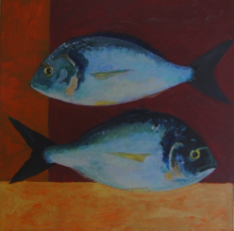 guilthead sea bream