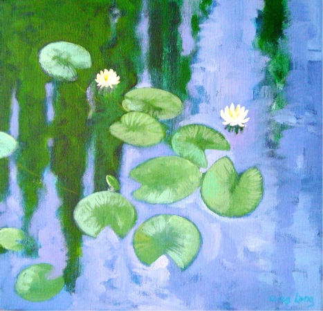 studio lilly pond