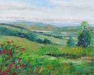 roscommon leitrim landscape lough key