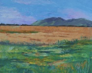 farraniaragh cahernageeha mountains kerry Art by greg long