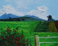 west cork potato field farm